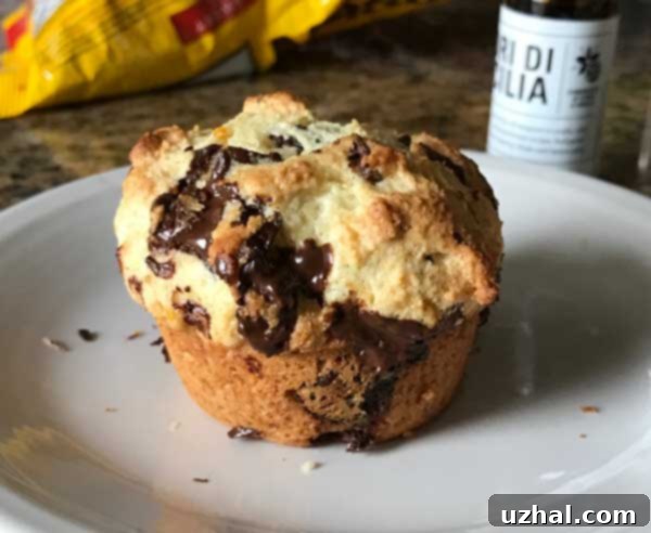 Chocolate chunk ricotta muffin without liner