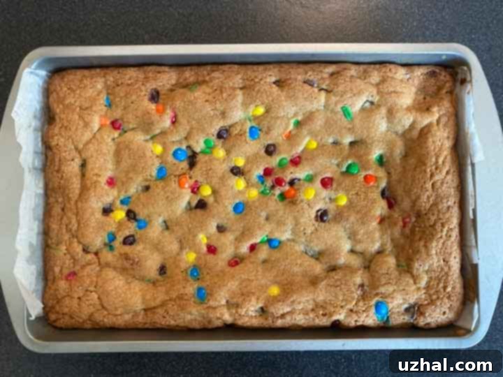 Pat's Chocolate Chip Bars - freshly baked, golden brown, and inviting