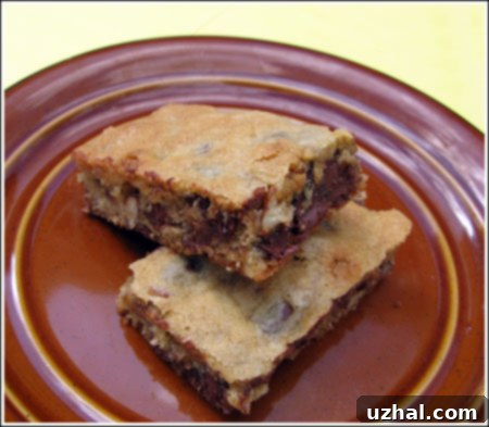 Close-up of a dense, chewy homemade chocolate chip bar with visible melted chocolate chunks
