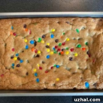 Pat's Famous Chocolate Chip Bars
