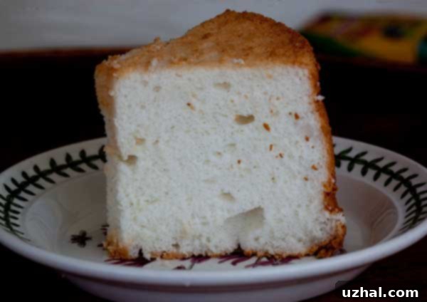 Close-up shot of a slice of basic angel food cake, showing its uniform, airy crumb and delicate texture.