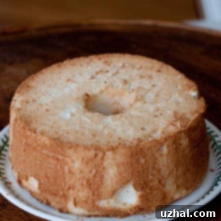 Beautifully baked Angel Food Cake, showcasing its perfect golden-brown top and fluffy interior.