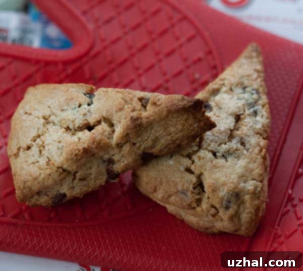 Delicious whole wheat pastry flour scones with melted chocolate chips on a cooling rack