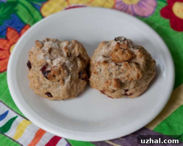 Nigella Lawson's Cranberry and Fennel Soda Bread Buns – perfect for St. Patrick's Day or any occasion.