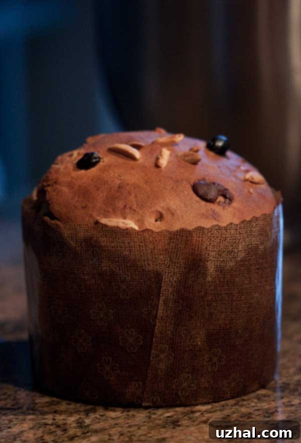 Traditional Kulich bread, decorated for Easter