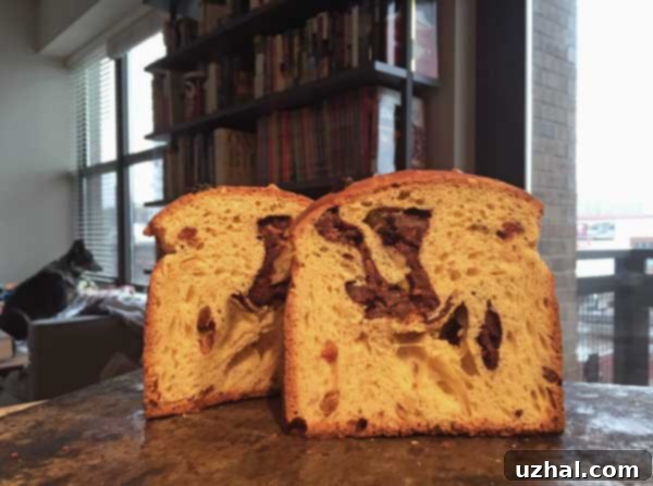 Freshly baked bread in a can, showcasing the cylindrical shape
