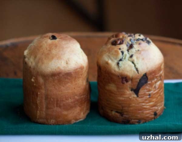 Baked Kulich loaves cooling on a wire rack