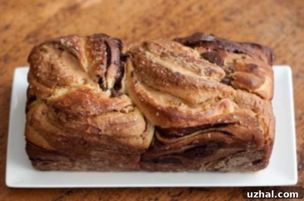 Close-up of freshly baked Chocolate Peanut Butter Babka, showing beautiful swirls of chocolate and peanut butter