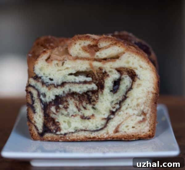 Chocolate Peanut Butter Babka dough with peanut butter filling before rolling
