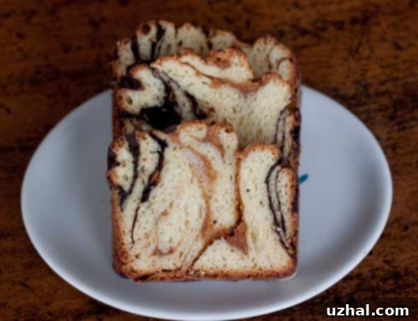 Chocolate Peanut Butter Babka dough after kneading, ready for first rise