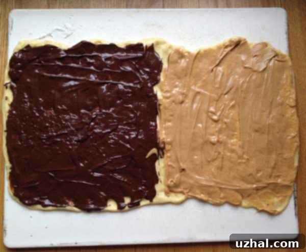 Twisted Chocolate Peanut Butter Babka dough in a loaf pan, ready for final rise
