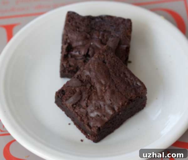 Decadent Cocoa Powder Fudge Brownies from the classic King Arthur all-purpose flour recipe