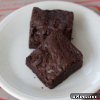 Fudge Brownies with Cocoa Powder