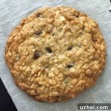 A perfectly baked, golden brown Kitchen Sink Cookie with visible chunks of chocolate, dried fruit, and nuts.