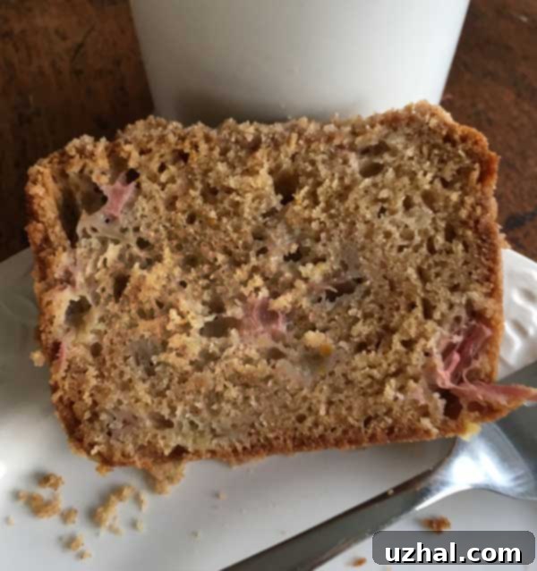 rhubarb bread slice on a plate