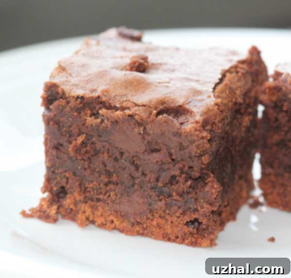 blissful brownies