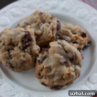 Delicious Bittersweet and Milk Chocolate Chip Cookies