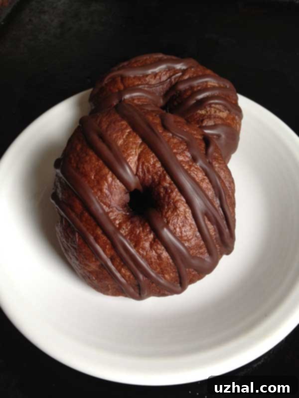double chocolate bagels recipe with cocoa powder and dark chocolate chips. Can be made vegan
