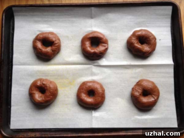 Close-up of a double chocolate bagel showing its rich color and texture.