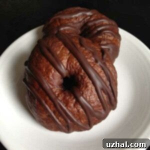 double chocolate bagels recipe with cocoa powder and dark chocolate. Can be made vegan.