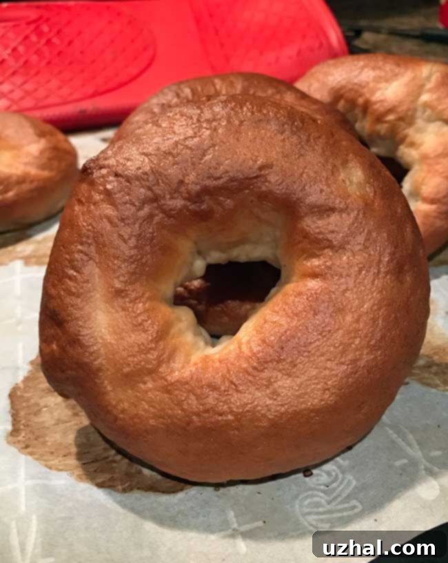 Freshly baked homemade bagels with a golden-brown crust, ready to be enjoyed.