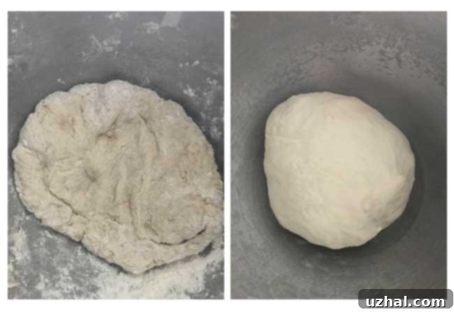Close-up of bagel dough showing initial sticky consistency and then a smooth, stiff dough after kneading.