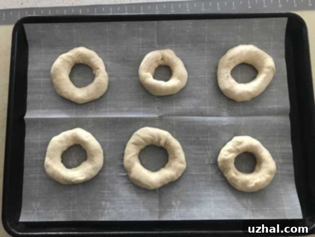 Unbaked bagels on parchment paper, shaped and ready for boiling and baking.