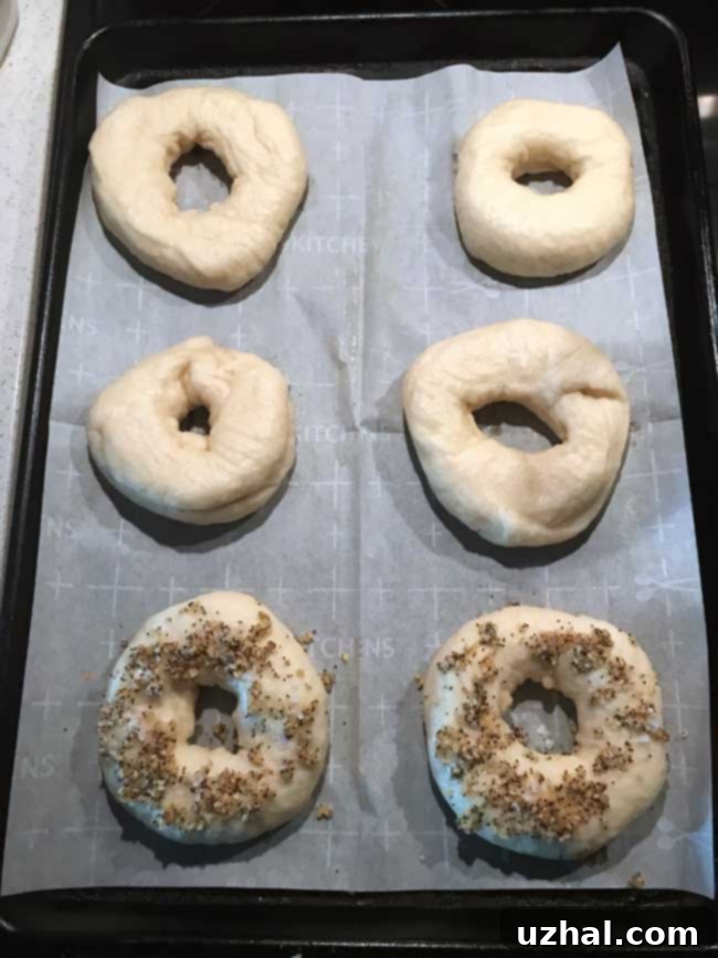 Boiled bagel dough covered generously with everything bagel seasoning, ready for baking.