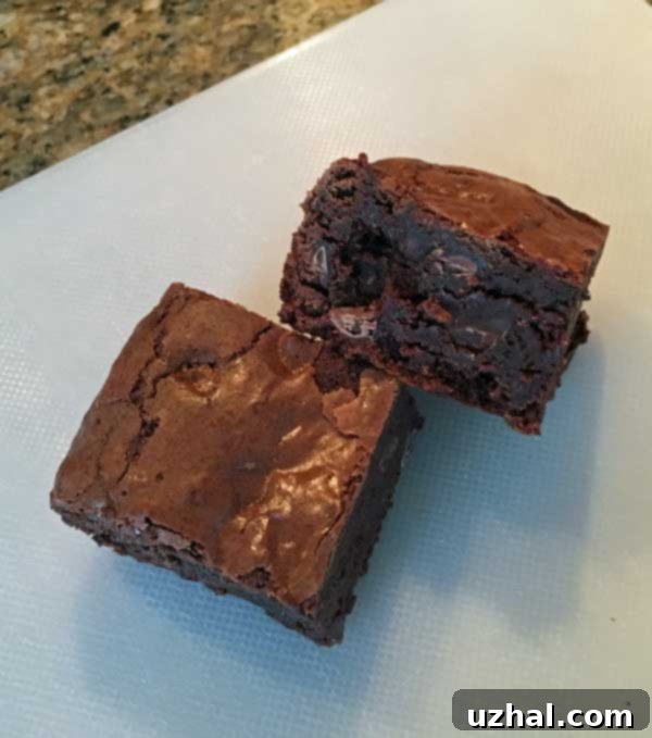chocoholicbrownies