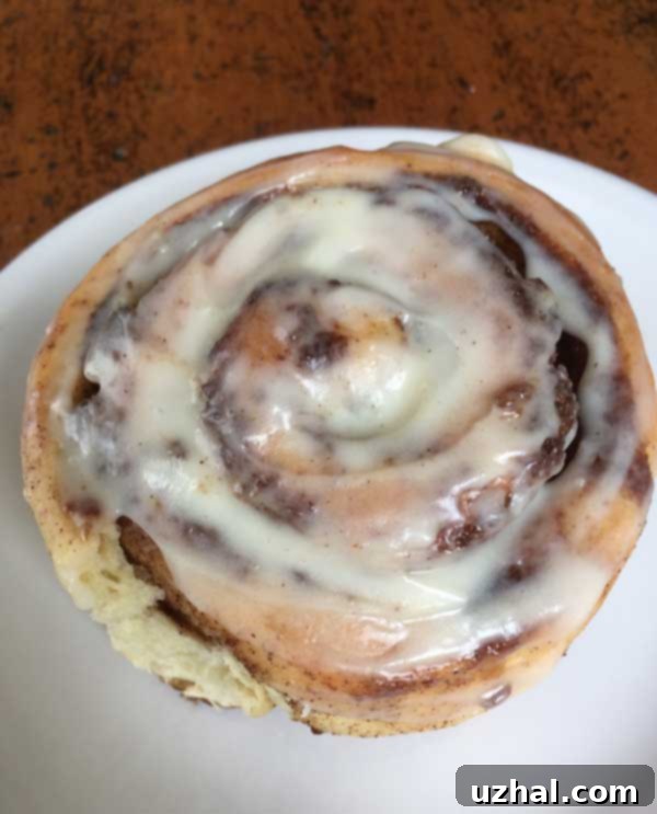 No-Knead Food Processor Cinnamon Rolls 2 food processor cinnamon rolls