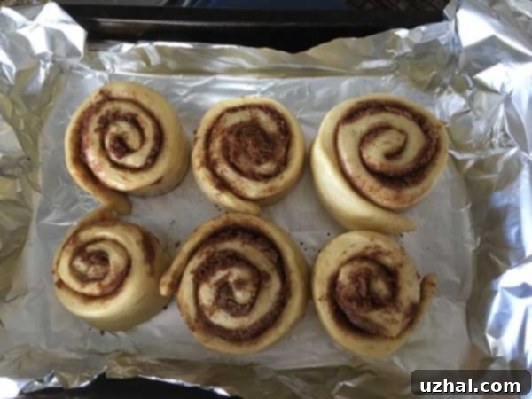 No-Knead Food Processor Cinnamon Rolls 3 food processor cinnamon rolls