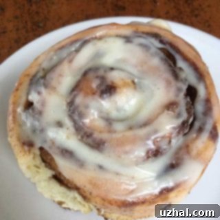 No-Knead Food Processor Cinnamon Rolls 5 food processor cinnamon rolls