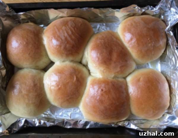 fluffy dinner rolls