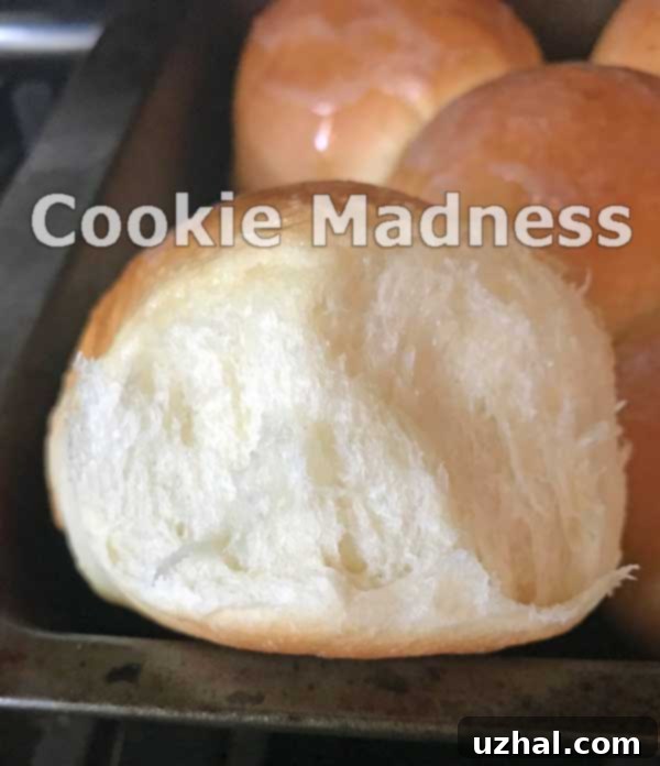 fluffy dinner rolls