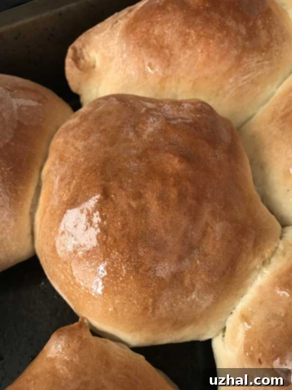 fluffy dinner rolls