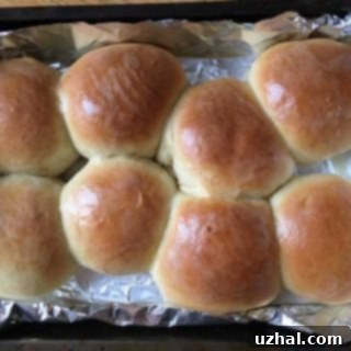 fluffy dinner rolls