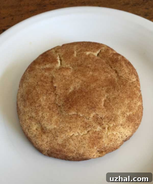 roastedfloursnickerdoodles3