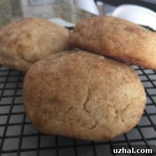 Roasted Flour Snickerdoodles