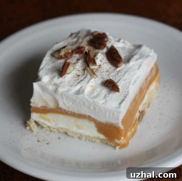 Butterscotch Delight, a classic layered creamy dessert with a pecan crust and whipped topping.
