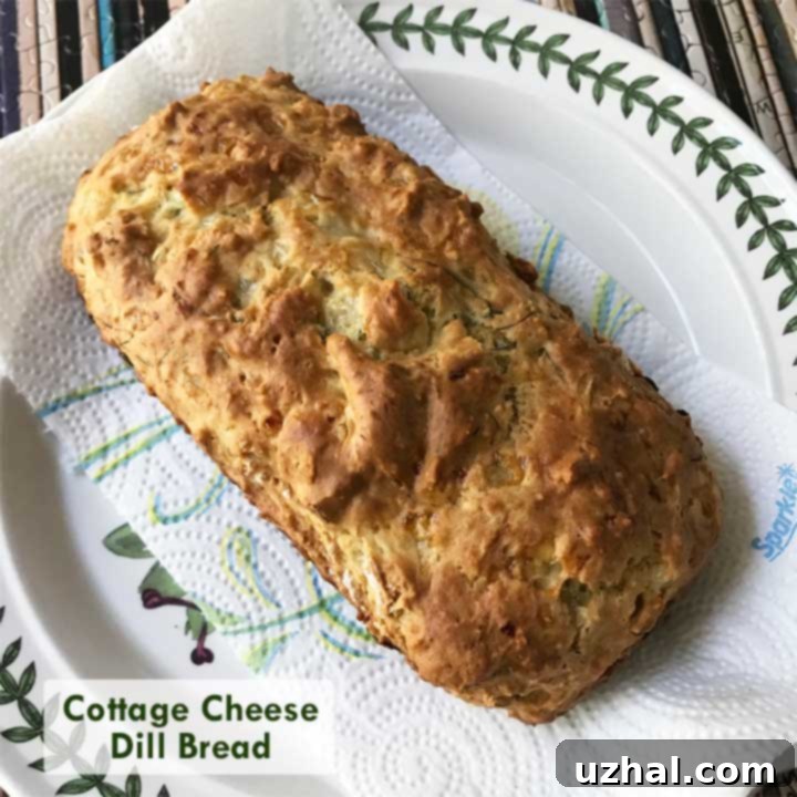 Freshly baked Cottage Cheese Dill Bread, a no-yeast quick bread