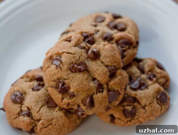 Grain Free Chocolate Chip Cookies on a cooling rack