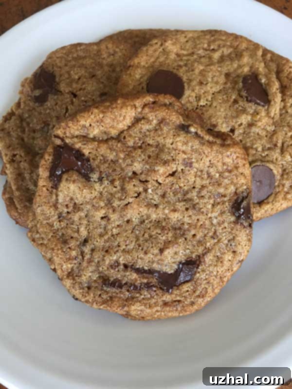 Close up of a single Grain Free Chocolate Chip Cookie