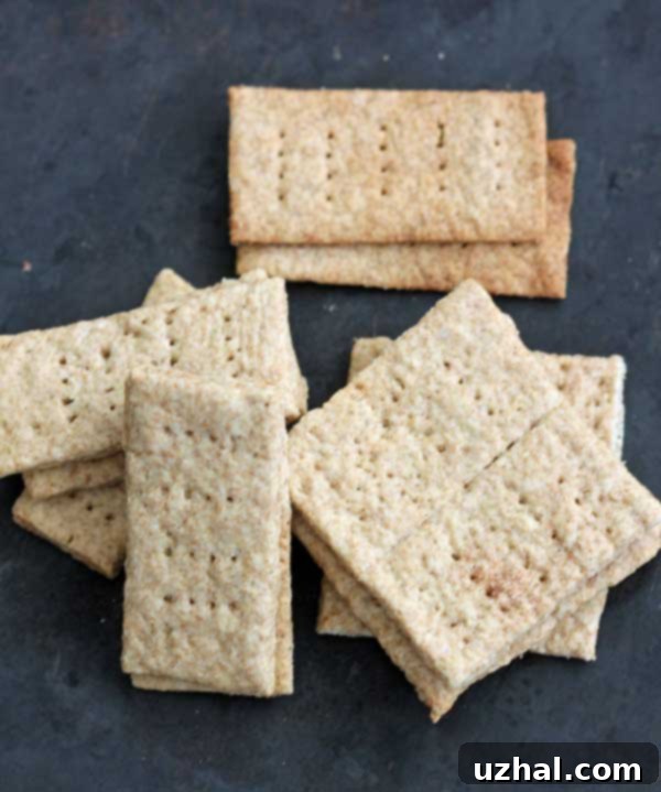 homemade vegan graham crackers