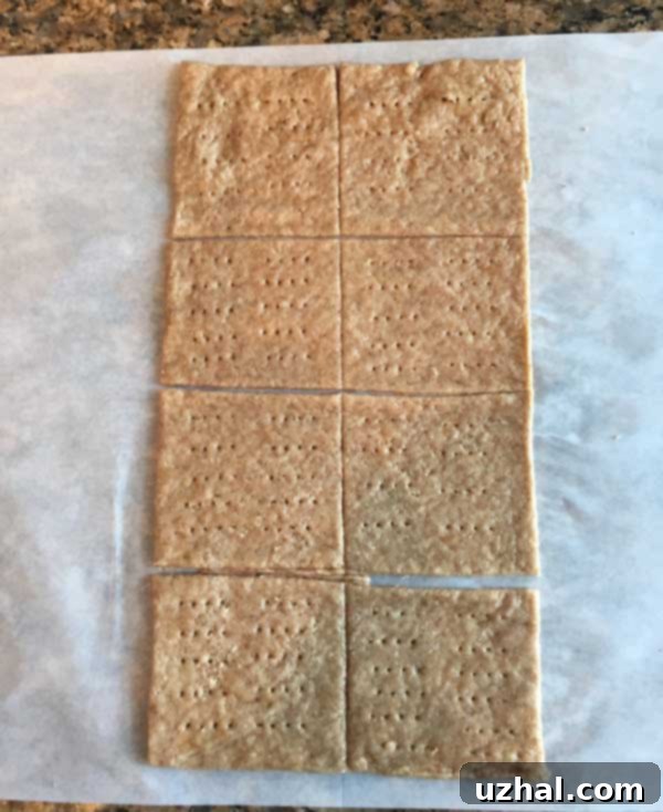 vegan graham crackers dough