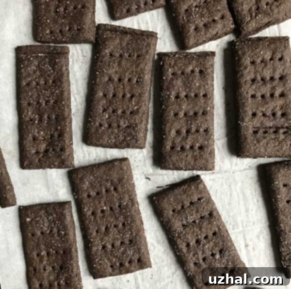 chocolate vegan graham crackers