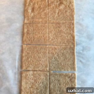 vegan graham crackers