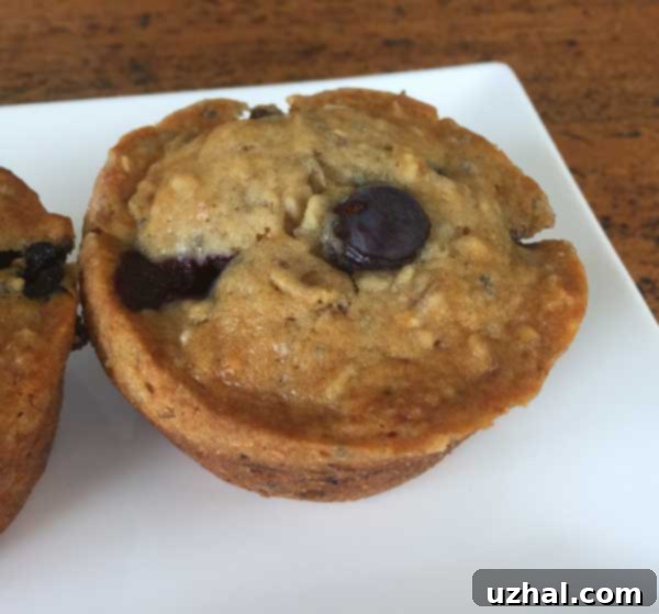 Vegan Blueberry Muffins with Weetabix