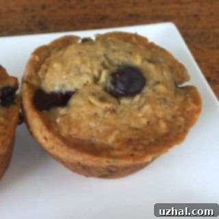 Vegan Blueberry Muffins