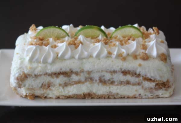 Close-up of a serving of coconut lime ice cream loaf on a white plate, highlighting the creamy texture and lime zest.