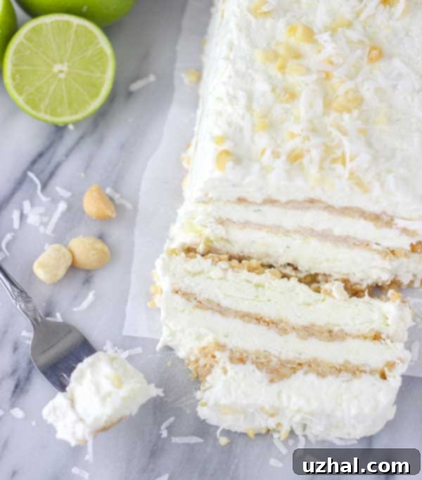 Professional image of Coconut Lime Ice Cream Loaf, showing an ideal aesthetic and garnish.